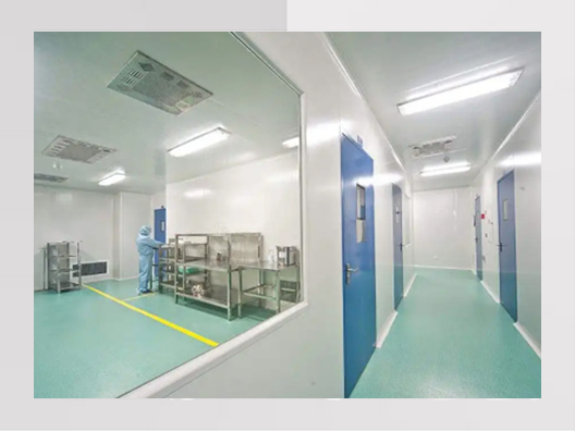 上海臨港新片區生物醫藥廠(chǎng)無(wú)塵凈化車(chē)間裝修工程
